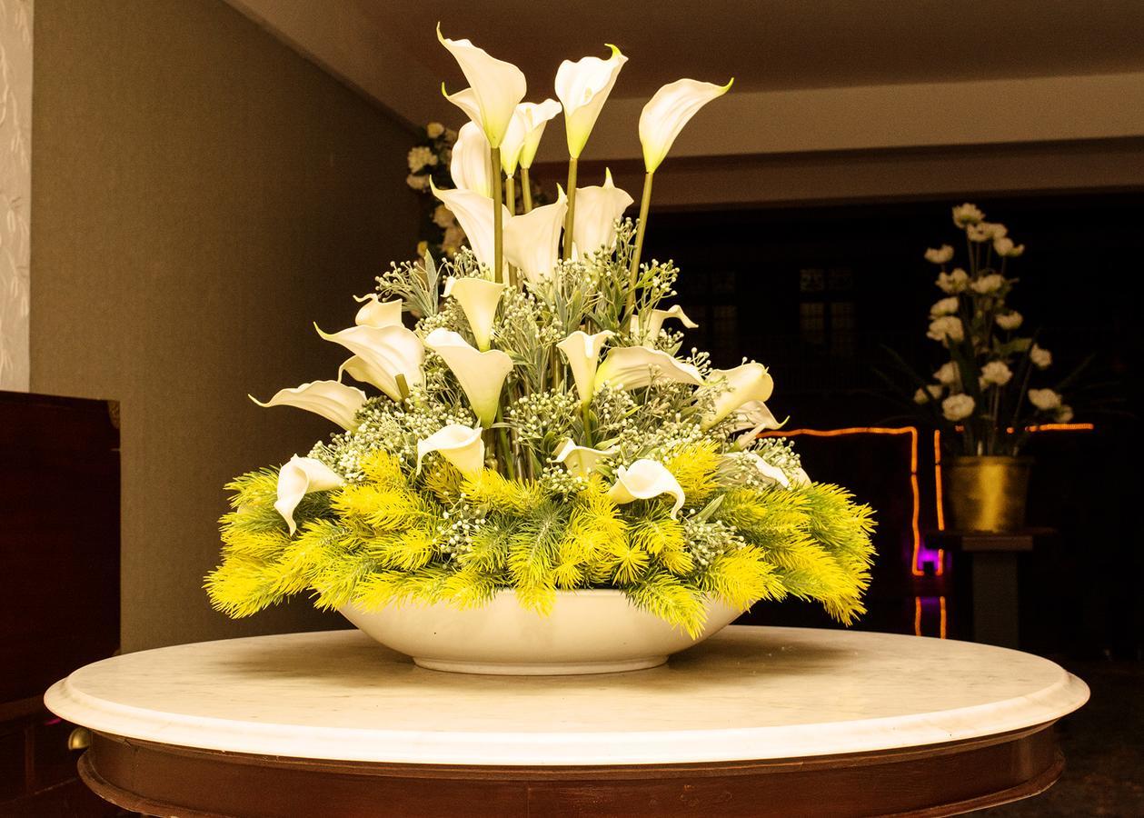 Romantic Garden Hotel نيجومبو المظهر الخارجي الصورة